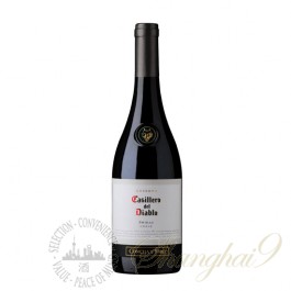 Casillero del Diablo Shiraz, Rapel Valley