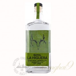 Sotol La Higuera Dasylirion Leiophyllum