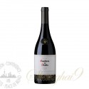 Casillero del Diablo Shiraz, Rapel Valley