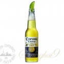 One case of Corona