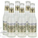 6 bottles of Fever Tree Ginger Beer