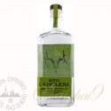 Sotol La Higuera Dasylirion Leiophyllum