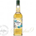 Giffard 100% Mexican Agave Syrup