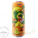 Pineapple & Ginger Hard Seltzer (1 can)
