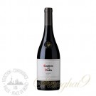 Casillero del Diablo Shiraz, Rapel Valley