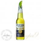 One case of Corona