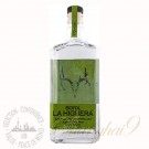 Sotol La Higuera Dasylirion Leiophyllum