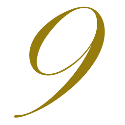 shanghai9.com-logo